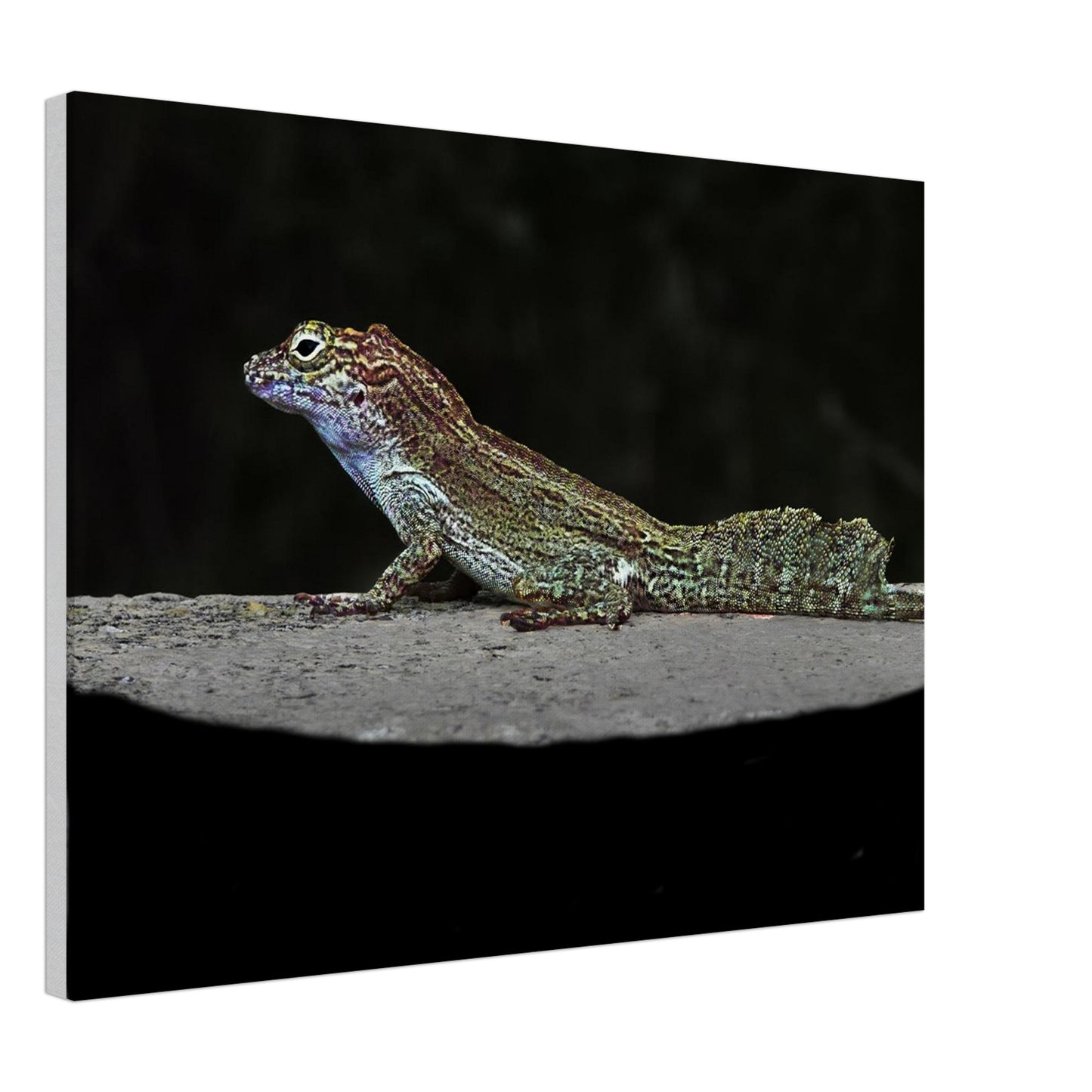 4974a3a9-be1b-4c7c-a46b-0258bd6fa362