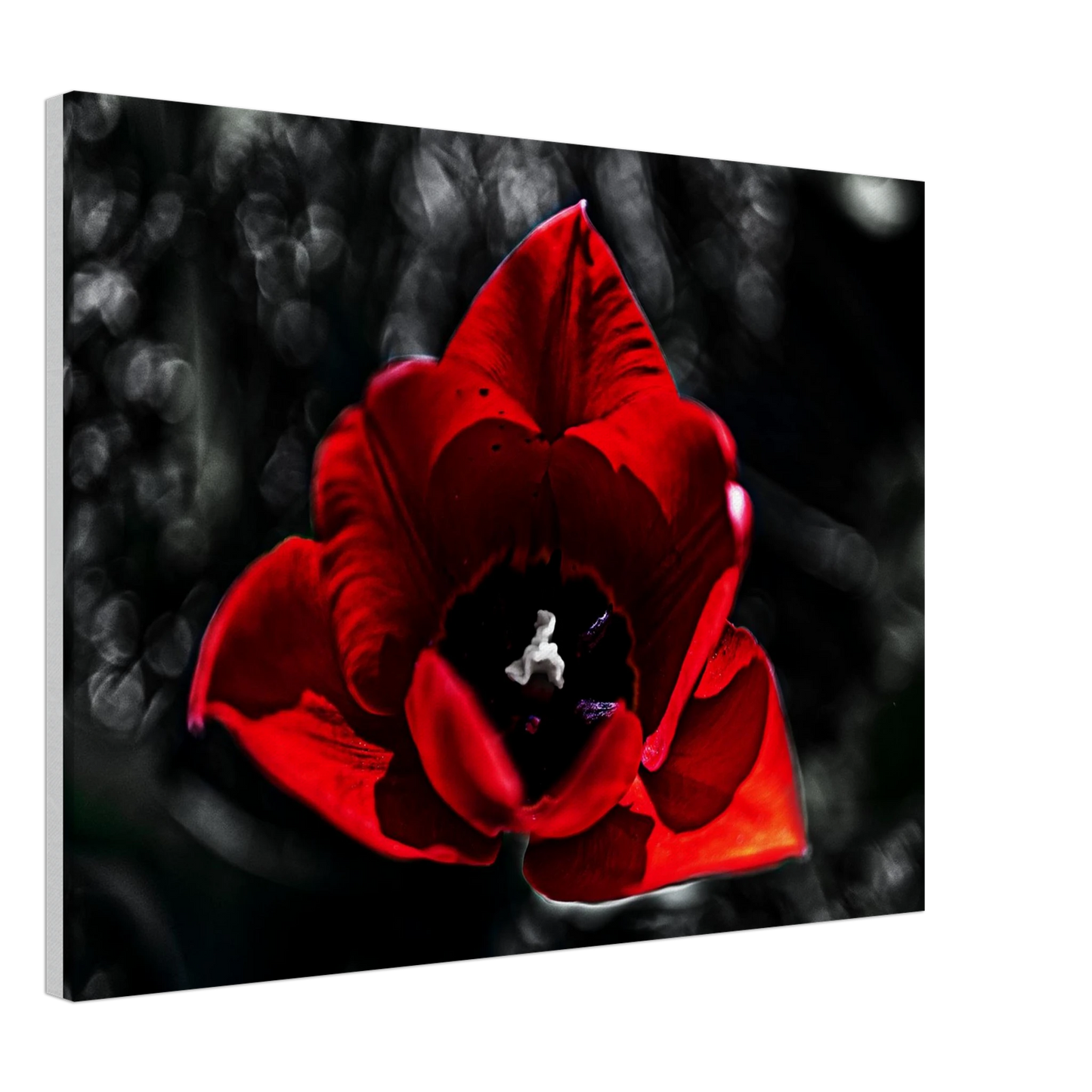 53e11f56-fb3b-4f5a-a808-081570ea8b3a