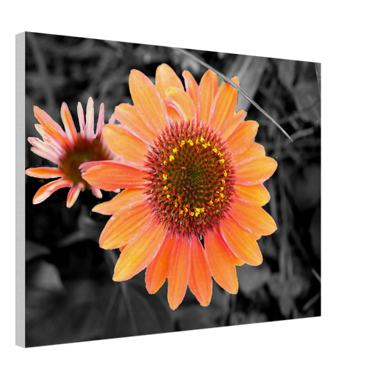 a4e61afa-13a7-45b7-bbf6-15a86f18e738