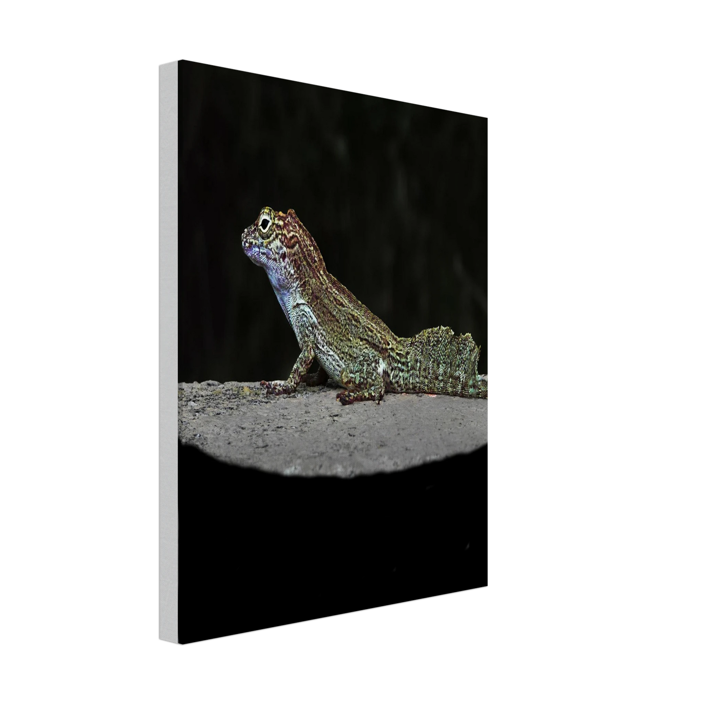 f6d07aa5-f4e5-481a-9217-bc577378d4a3