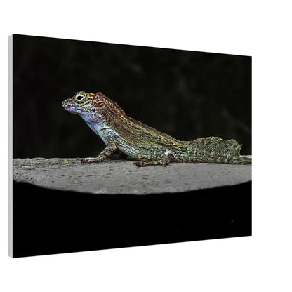 024d9915-57d7-4e8c-a350-bdb77377bc01