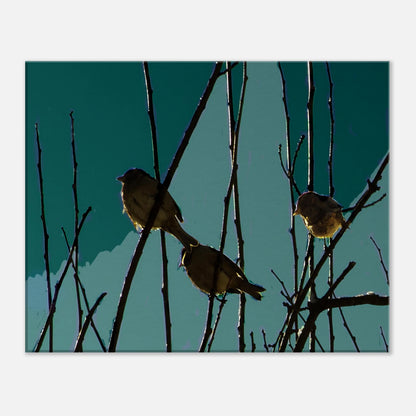 07c6b9ae-beba-4315-952f-b2309b45b676