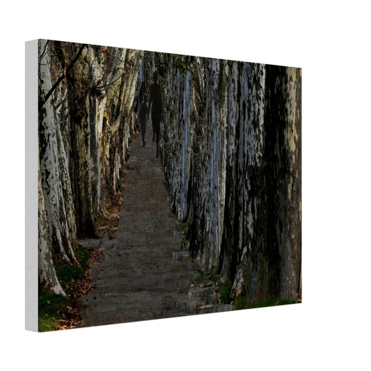 0b62a405-d9f0-4898-820f-106e7088304e