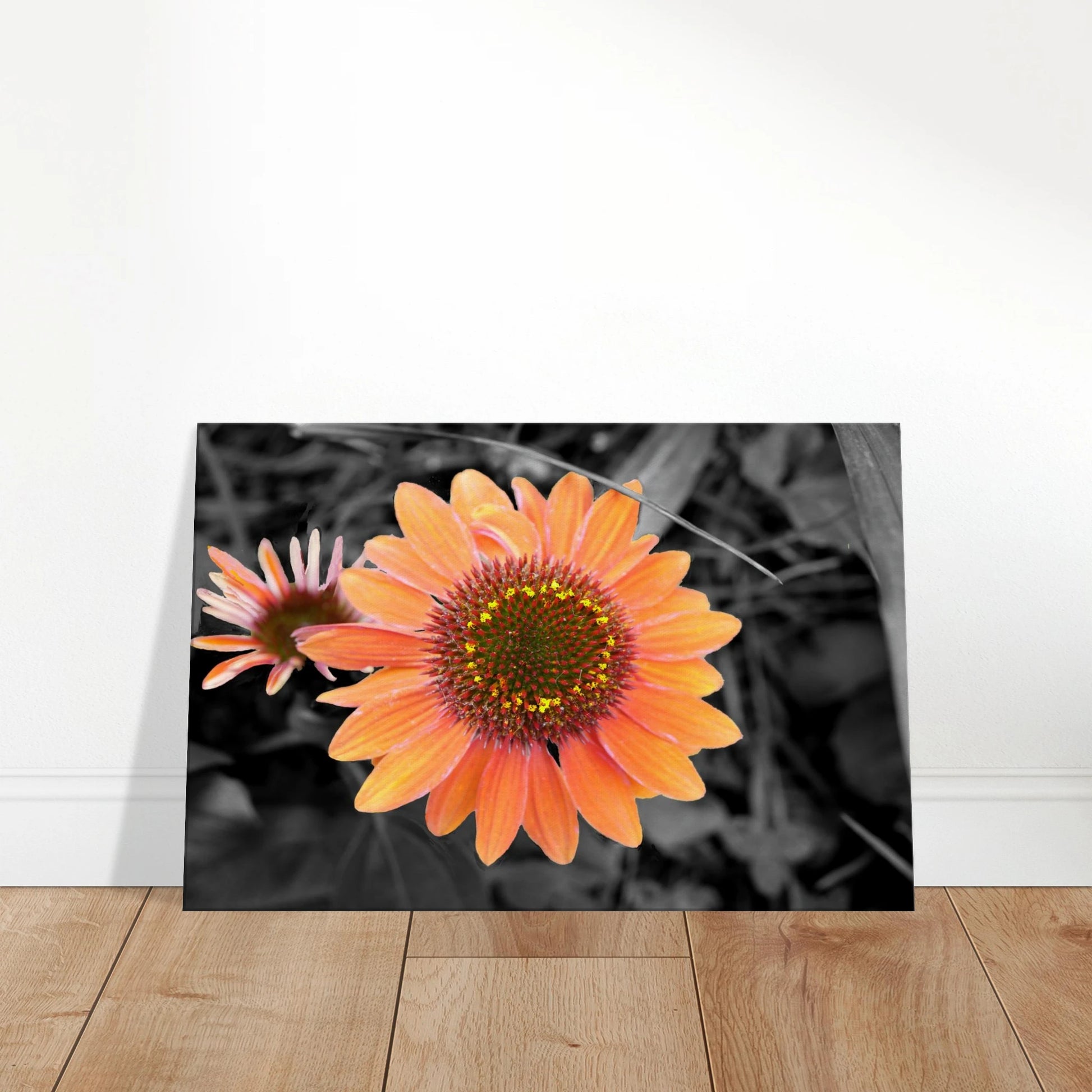 0b6ba17b-e2c9-4c90-9d8d-d5ae46bc0ddd