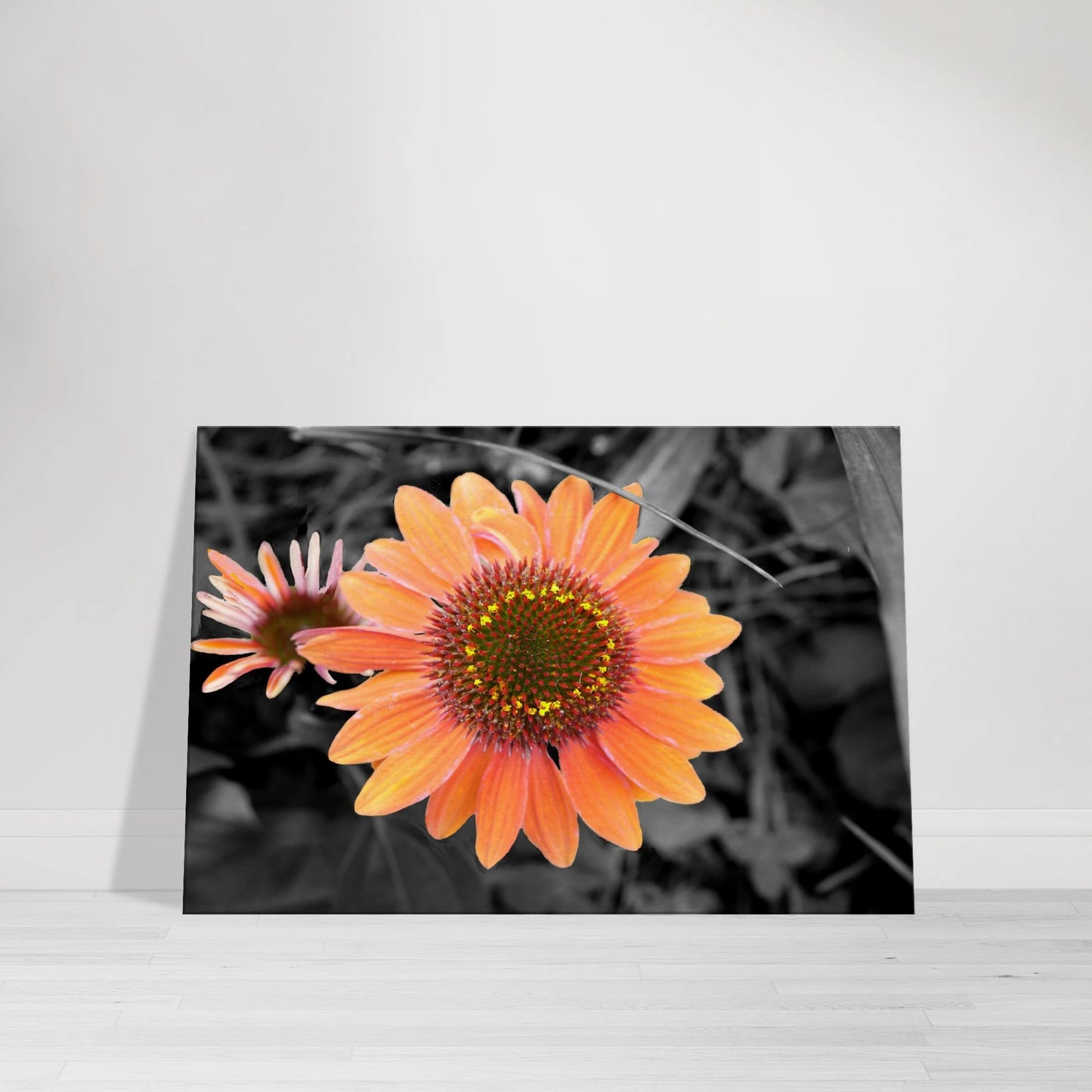 0c4782c7-bd83-402f-b422-f1ac824fb050