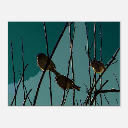 0d30be54-5755-4428-8a6f-a6d76aa63820