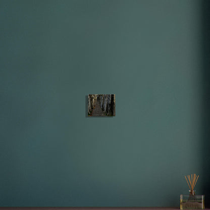 13d79c1f-76ad-4b7c-9016-282d2fecb4d4