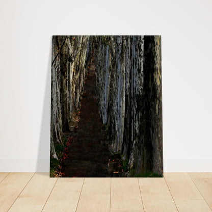 15166f86-b570-4599-a902-01f76129f6c8