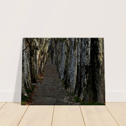 18cb875d-e447-4557-80d0-1f7d26c28081