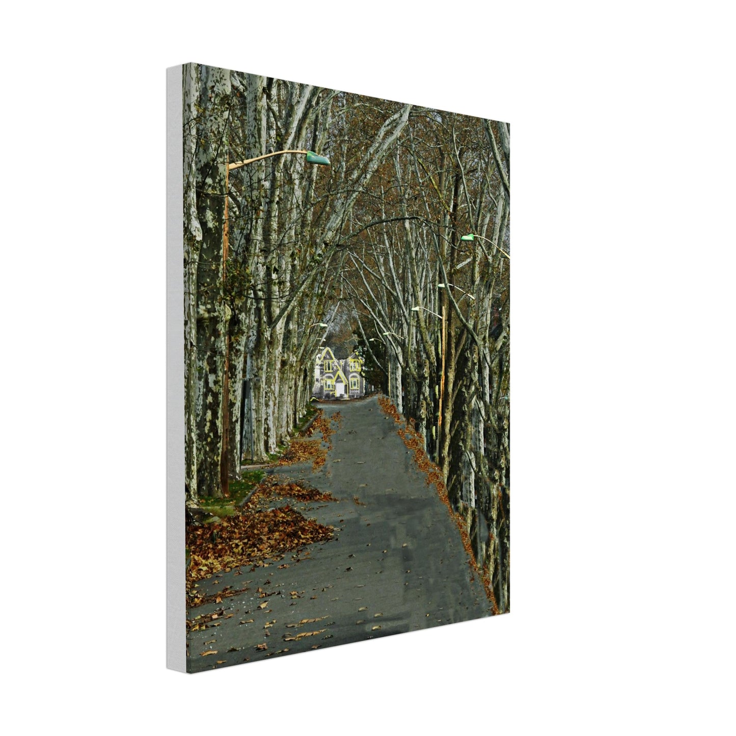 200b4f40-935b-4b1f-ab4b-e929397a9479