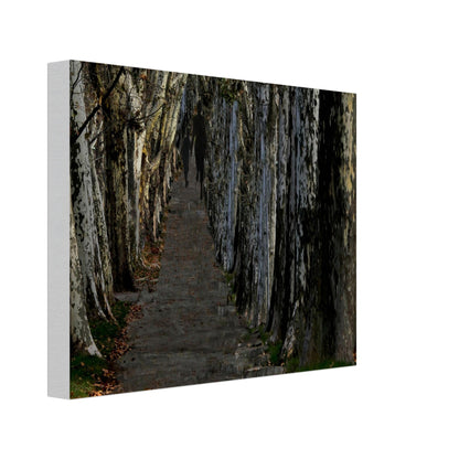 226220cd-12f8-4cc2-a97a-0fd21c9d8f9d