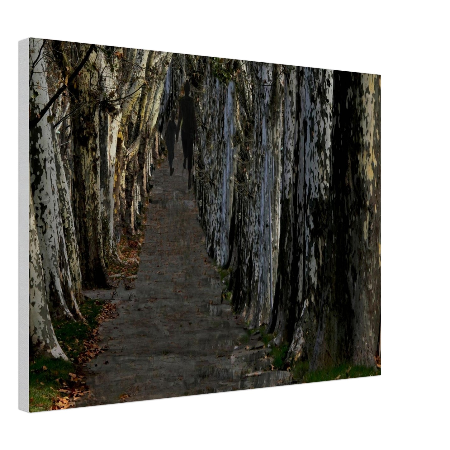 29b6fa26-5b86-4445-bb2d-686d4c733ce0