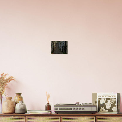 2b92106d-7534-49ea-8fce-110d60123dd3