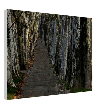 2c30bce6-70b9-4dd6-ae5b-34ebf58f5d61