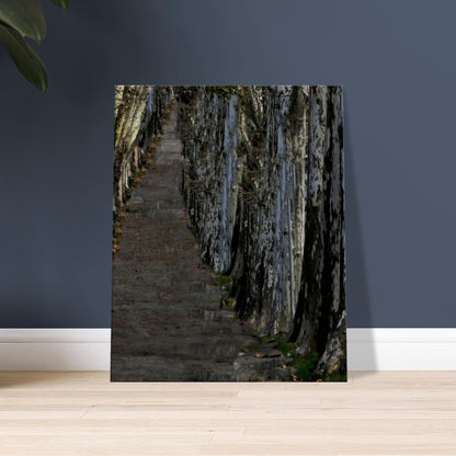 302dfdb3-4811-49bb-aa1d-a88d880dec4b