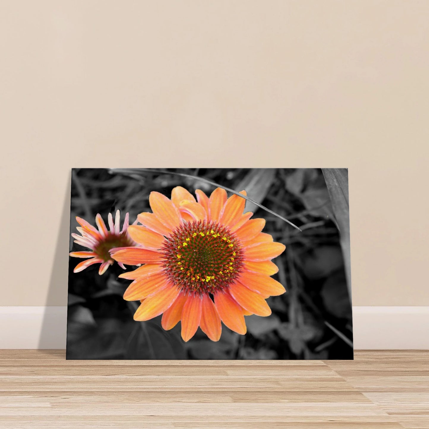 363fe884-2fd7-4229-8f95-7e3bbdb6eccb