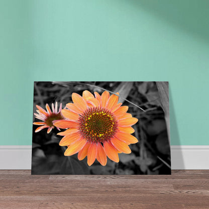 36894836-7520-4046-a21d-4c900c4cc9f4