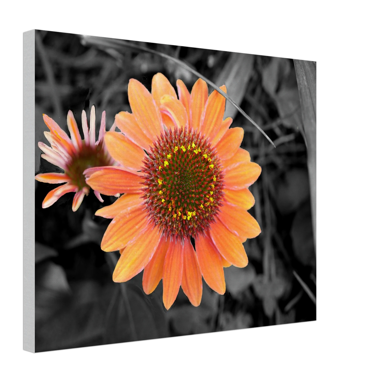 368b4f0a-d3ec-4c20-a945-6b82a485b3eb