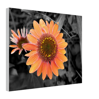 368b4f0a-d3ec-4c20-a945-6b82a485b3eb