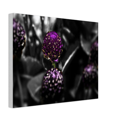 385f3e44-f64d-4c82-bd21-a2ac10946728