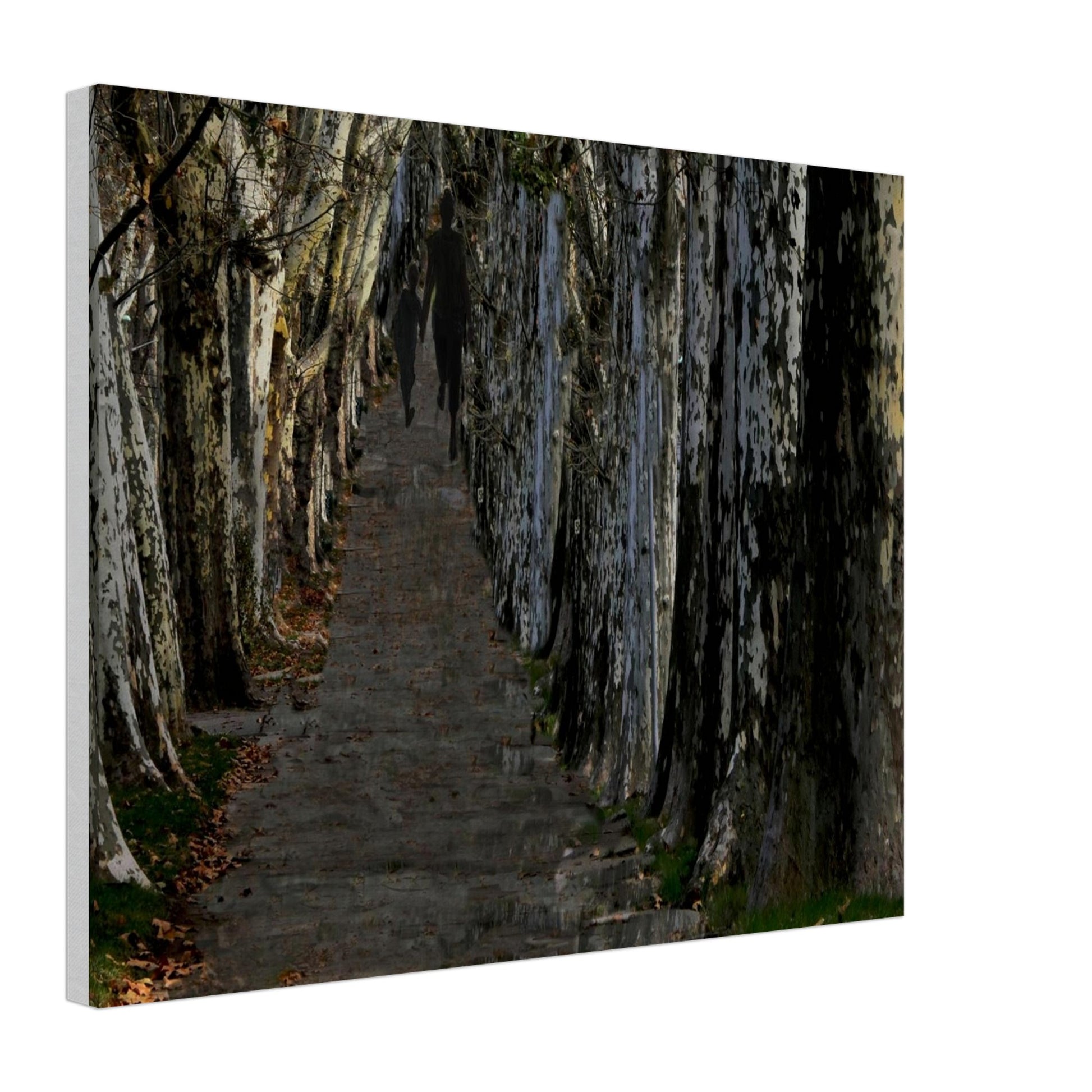 42cd3f69-6d1c-4c60-9f53-09ce8cc9d7bc