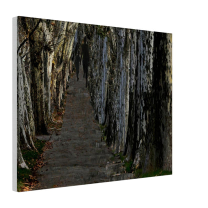 42cd3f69-6d1c-4c60-9f53-09ce8cc9d7bc