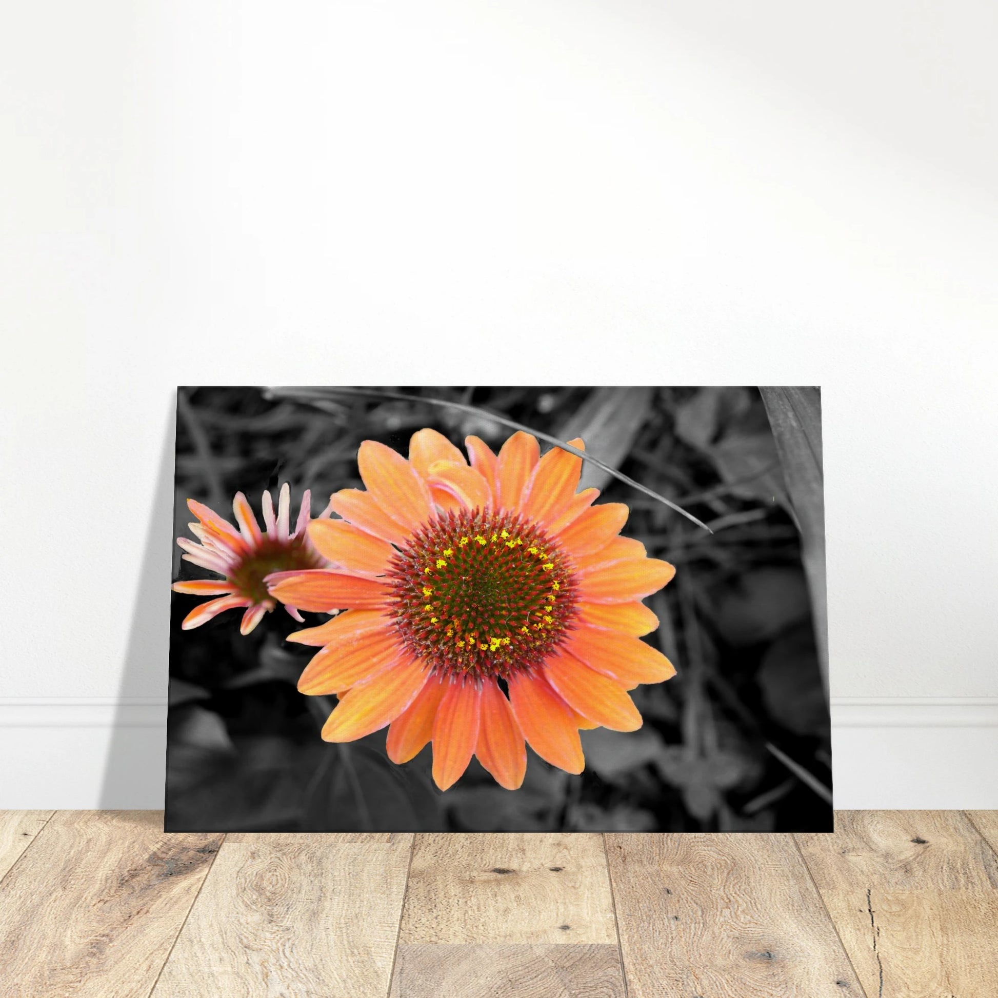 475c11cc-af90-4d68-b05e-ea7048cdc1e9