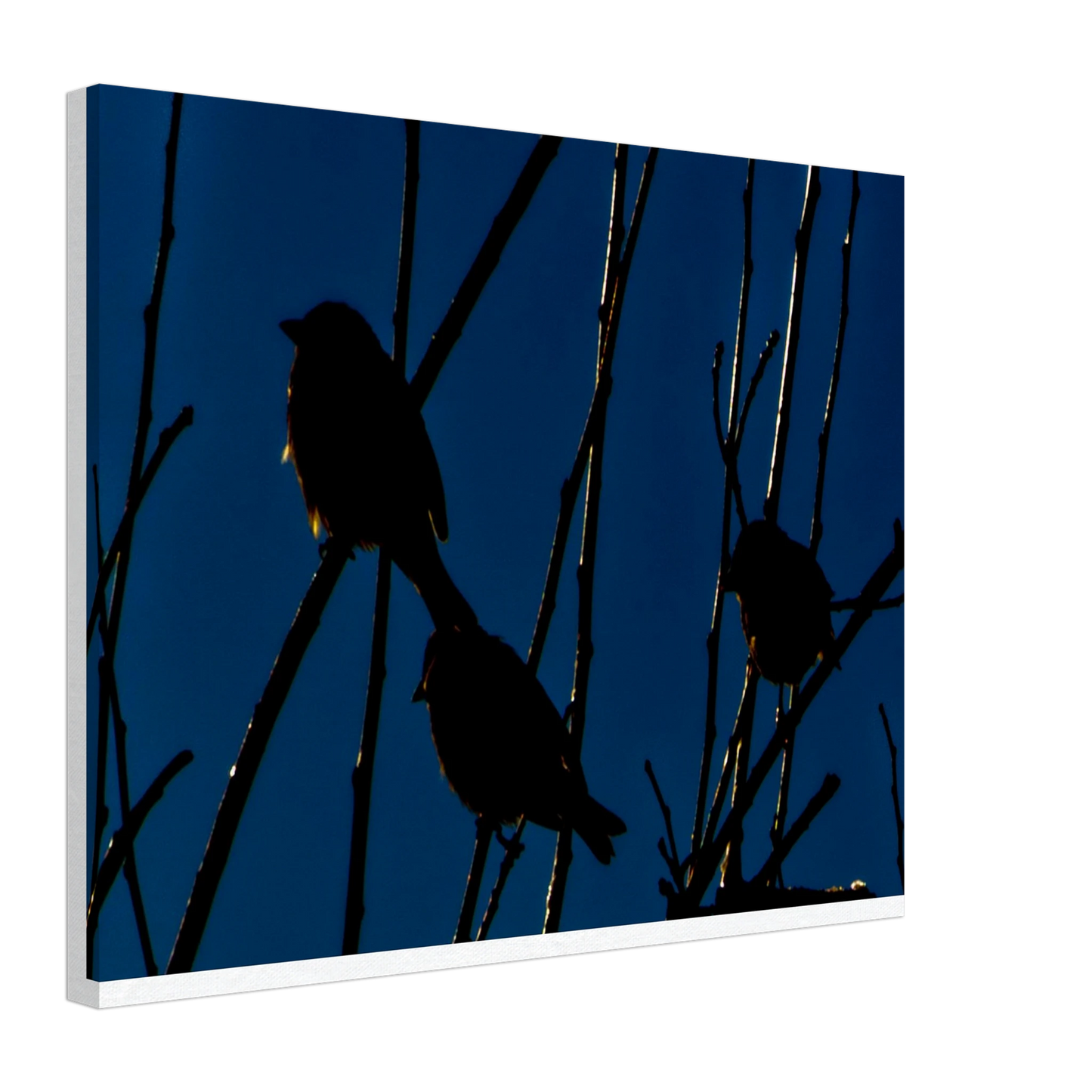 4874428e-823c-46cb-b8f1-d8a20c94b5f3