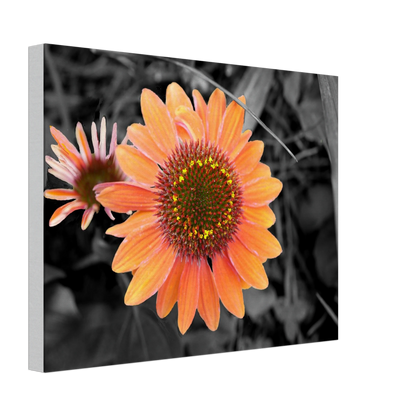 4c85e07c-1bf8-4c35-9b15-2e9cbcd3e719