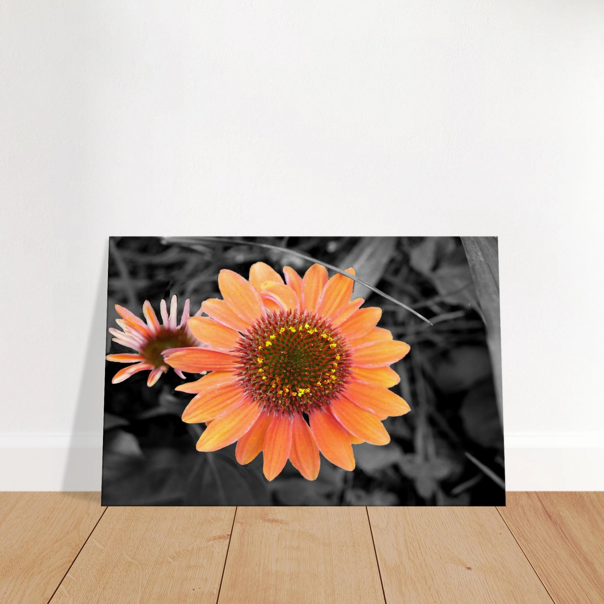 4ec62a14-a14c-408d-a986-b158a877b87e