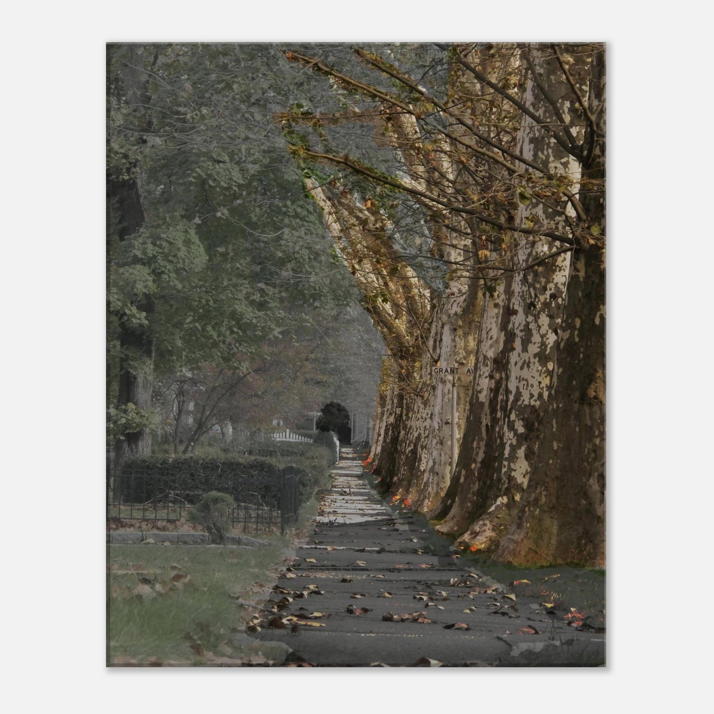 57b67dde-dc37-4b80-820a-40aa3a68a273