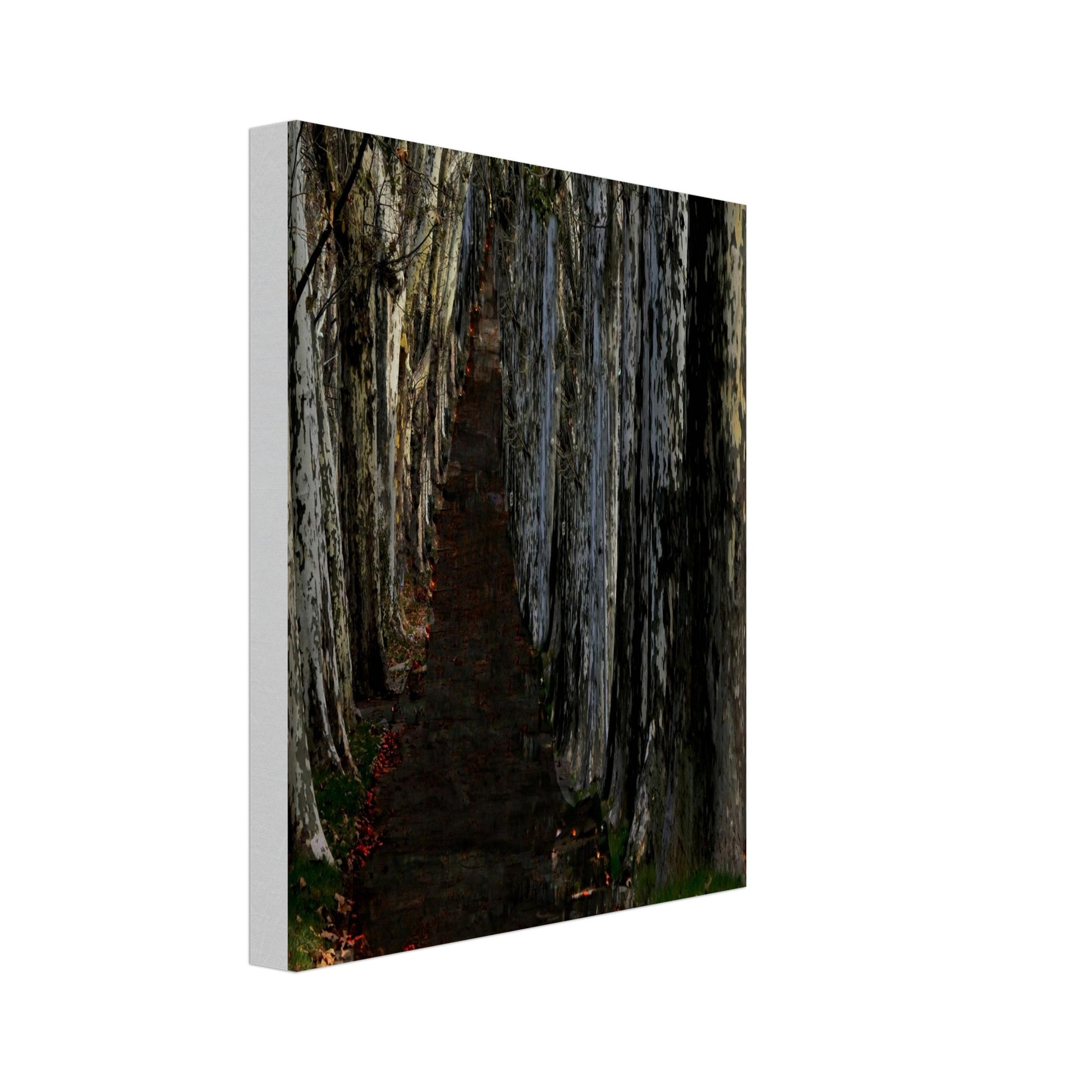 585e33a0-57e1-4564-b911-d8dfdfbe2269