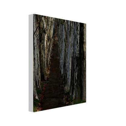 585e33a0-57e1-4564-b911-d8dfdfbe2269