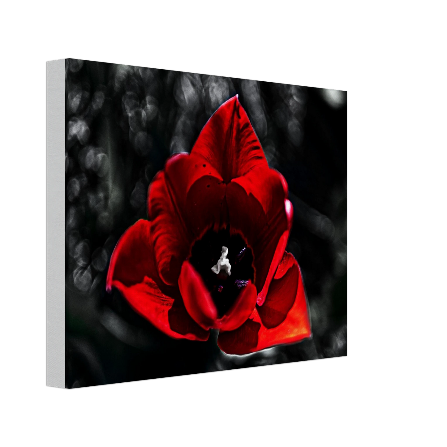 5910ee9c-adef-4b83-b6f8-5c52eb9ed208