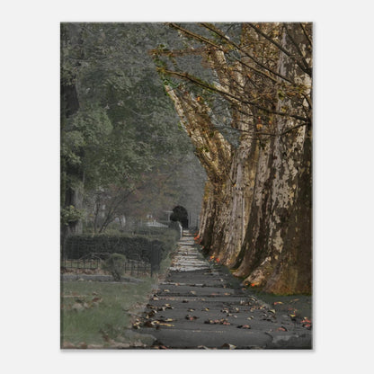 59caac5c-2d69-4e54-b09f-feb096deae27