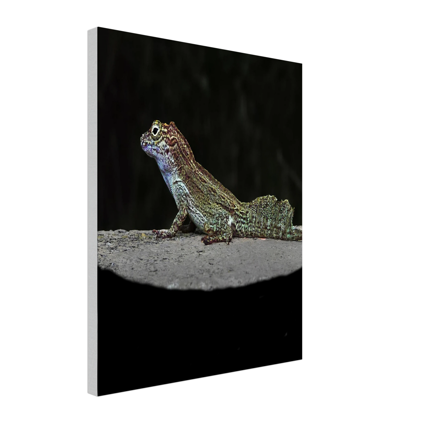 5ad24072-493a-4833-948b-dd2ed86b5893