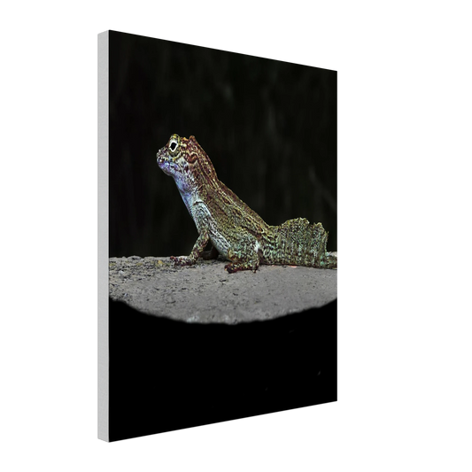 5ad24072-493a-4833-948b-dd2ed86b5893