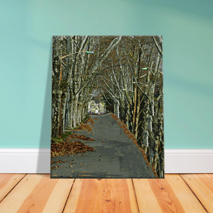 5df7691f-6aa0-42d5-b3a4-ce0935cc3e36