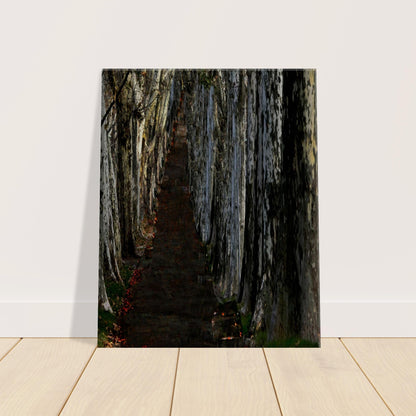 627952f9-e049-4455-b3e3-a35aa55ee004