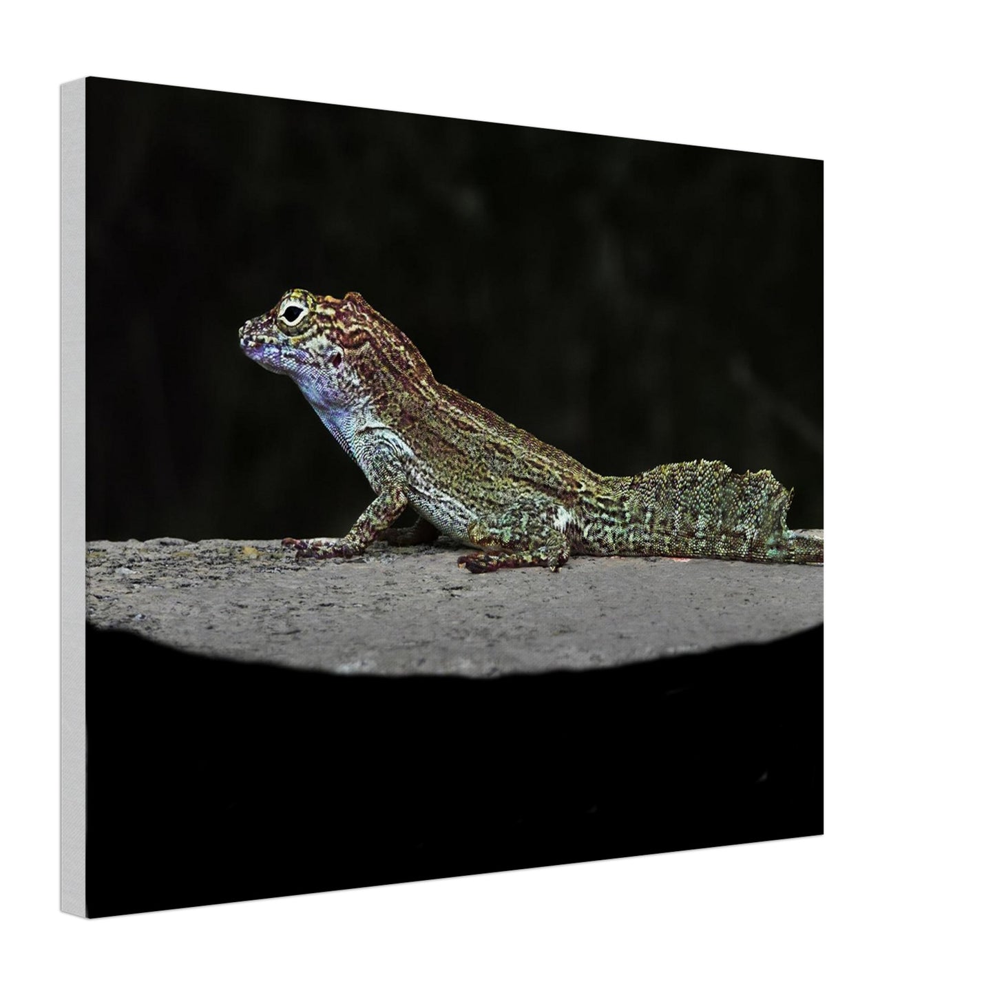 633a1527-444f-4550-a9de-067e8d826531