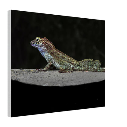 633a1527-444f-4550-a9de-067e8d826531