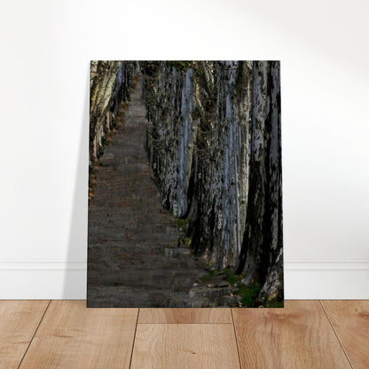 6d1c32c9-c1b7-438d-b32a-b7ffa502fa3a