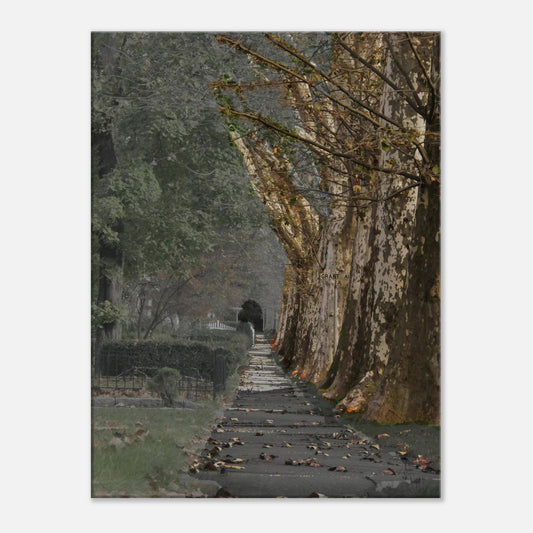 70f1078f-3efd-45b9-b61a-ef8e2de8c85c