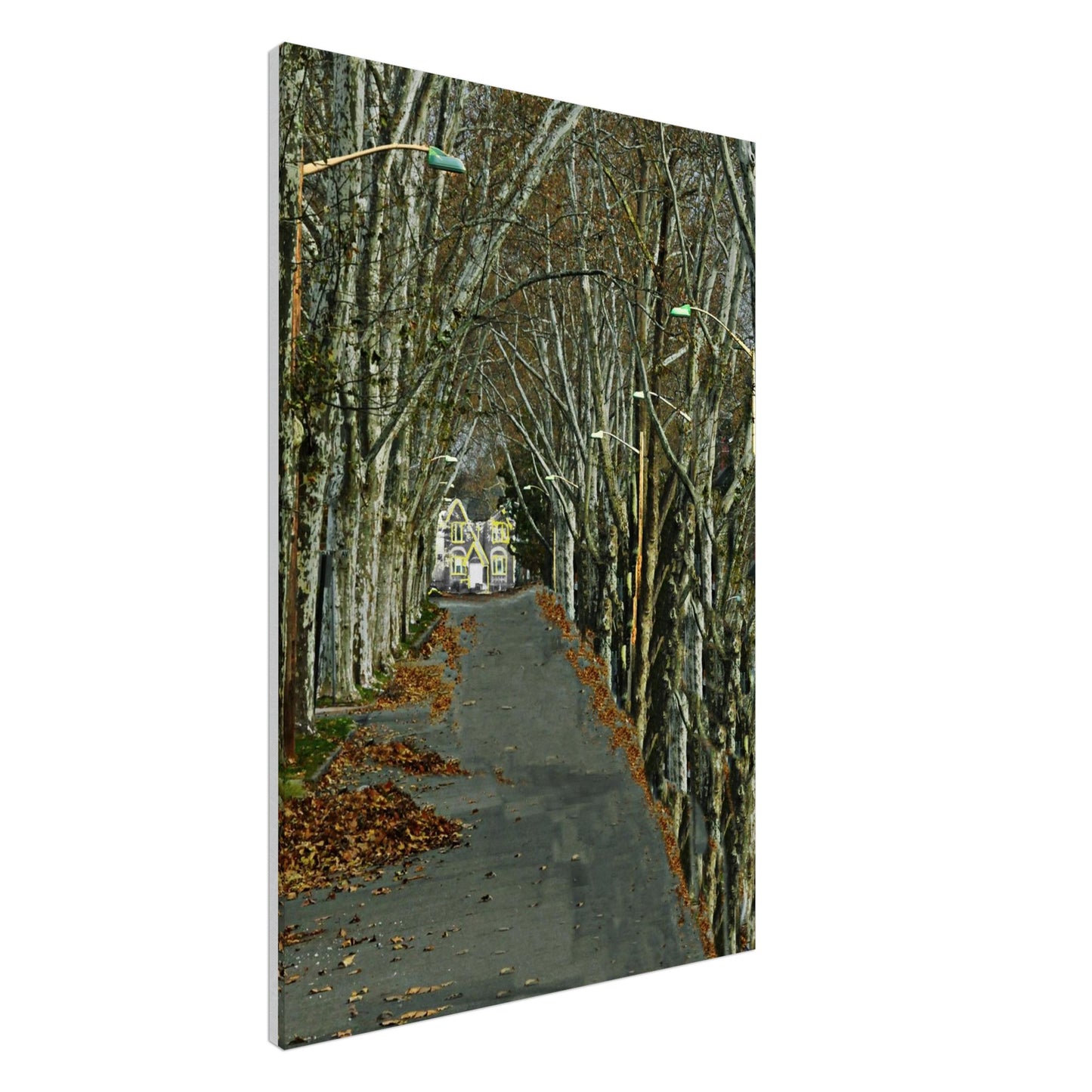 71a4d457-361d-4452-8eed-3ce4ff3731d5