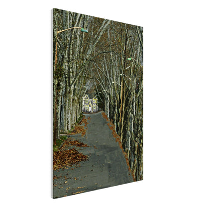 71a4d457-361d-4452-8eed-3ce4ff3731d5