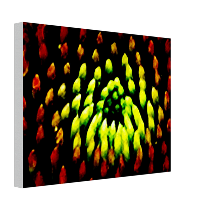 71bbe0f4-311a-4c24-a8bf-037ce9b8247c