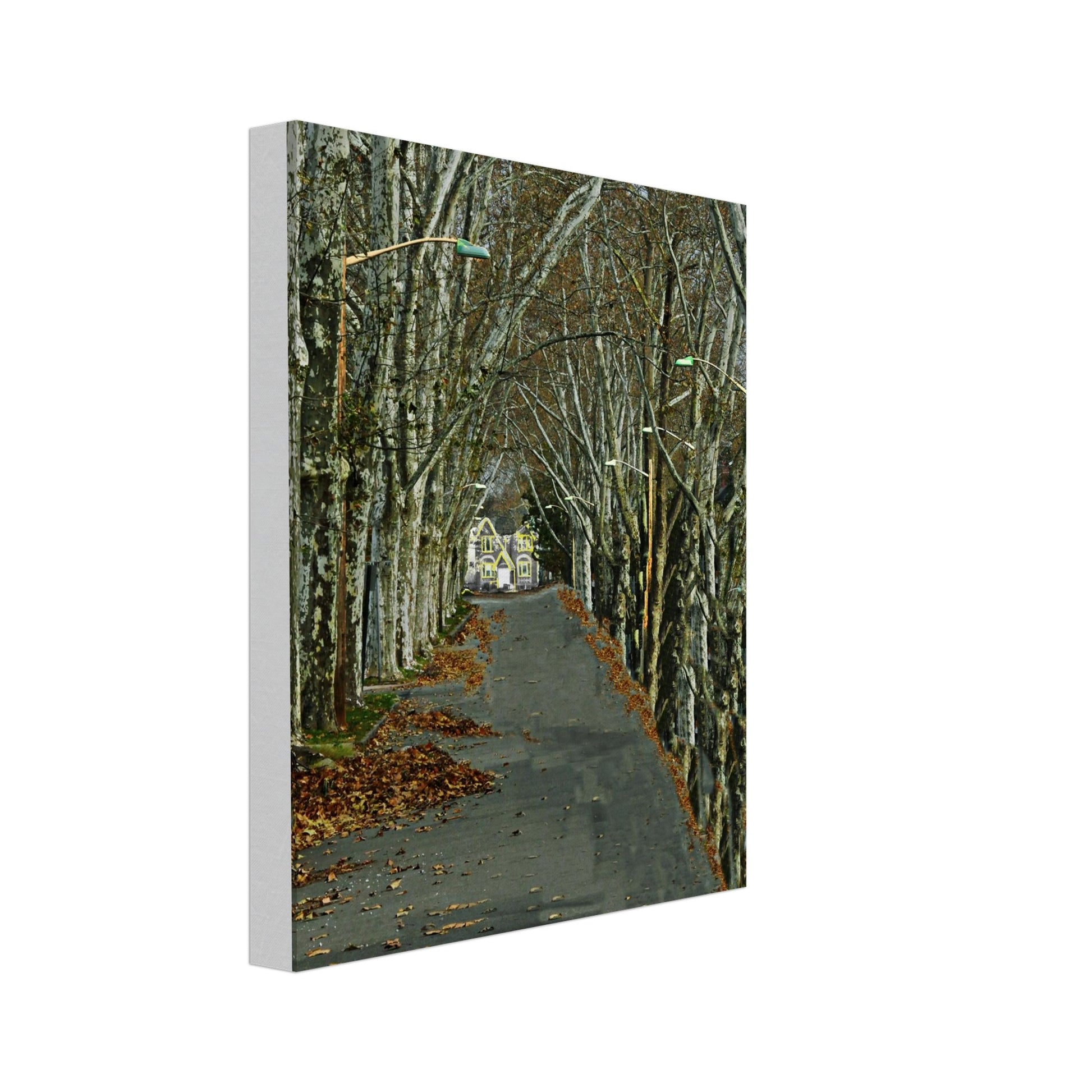 7e22d0d5-c974-4725-88de-81453a806cf1