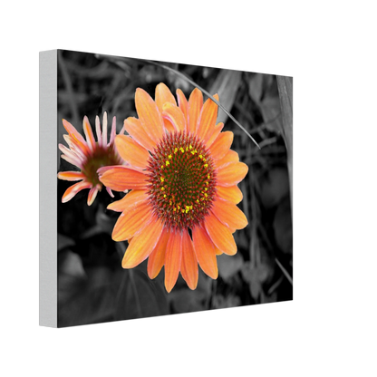 7e5c2800-9cf4-4eb9-95ed-982bb721f0d2