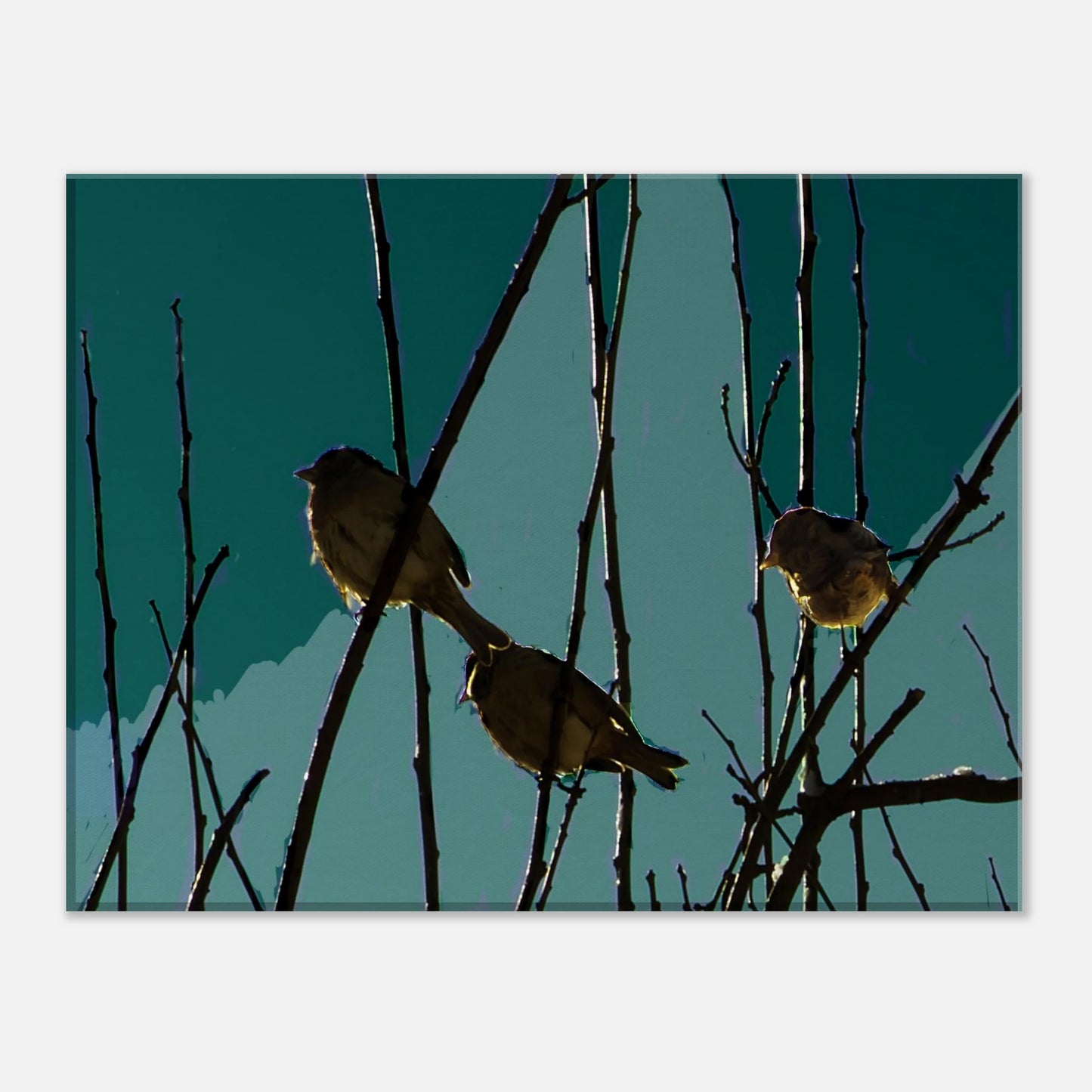 7fc87c99-399d-4c5e-b24c-fba75ebaf872