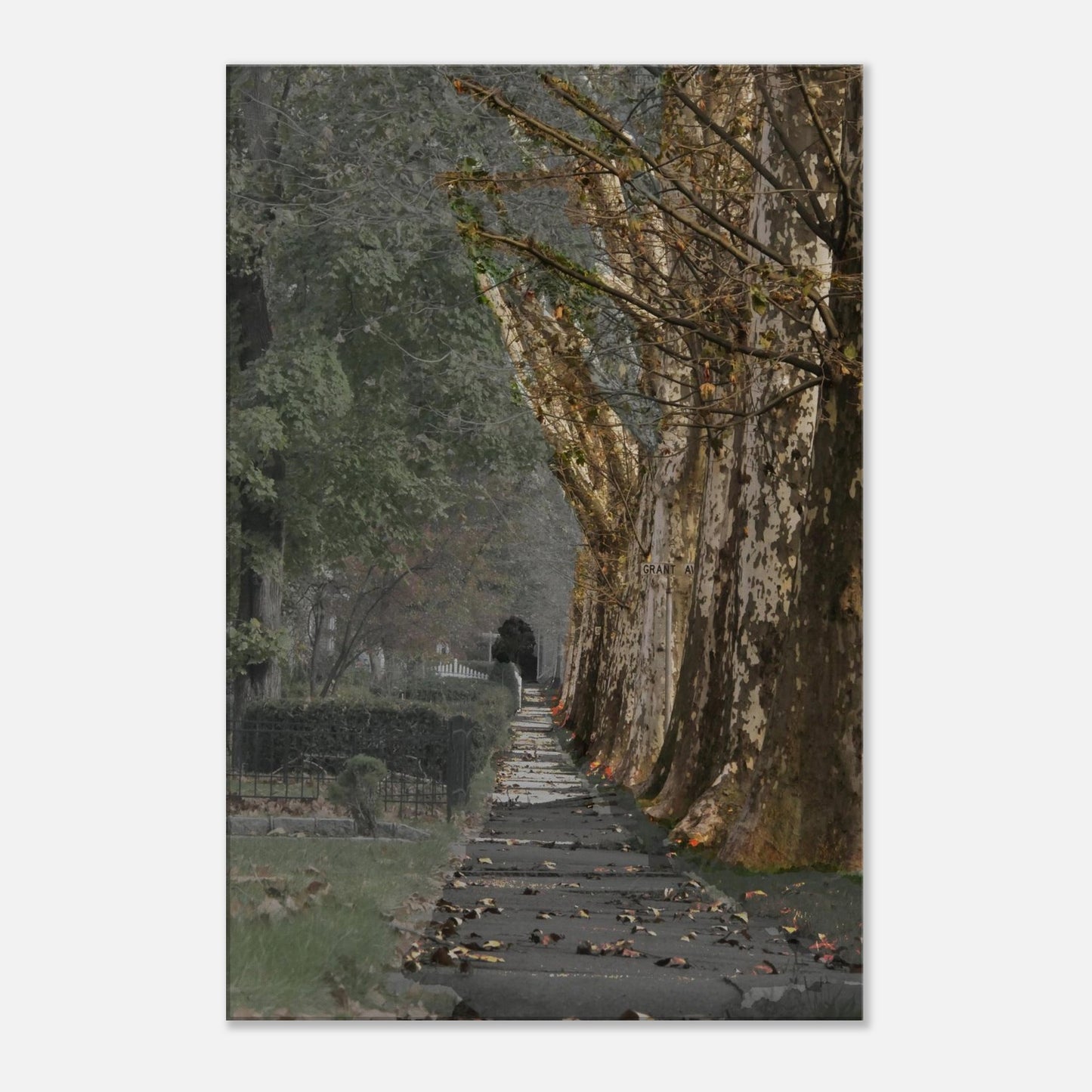 8a573eae-4712-4e49-a214-63c0b6143336